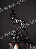 CHBS-Col-Staffs-003